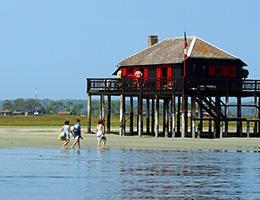 visiter le bassin d’arcachon